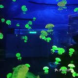 上海海昌海洋公园打卡