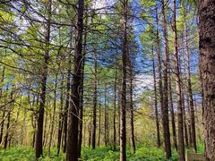 -白草畔自然风景区