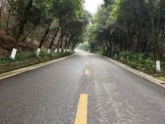 -铁山坪森林公园