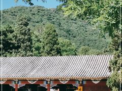 -香山公园
