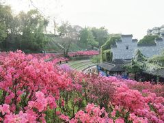 -老门东历史文化街区