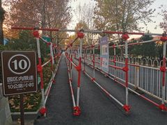 -南宫五洲植物乐园