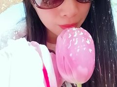 -上海鲜花港