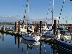 -Steveston Pizza Company (Richmond)