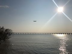 -宝安西湾红树林湿地公园