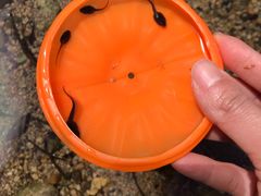 -碓臼峪自然风景区