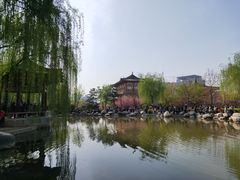 -西安青龙寺遗址景区