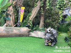 -常州奔牛国际机场