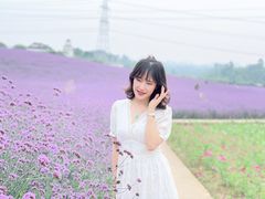 -紫颐香薰山谷景区