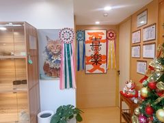 -猫十亿·布偶金渐层·曼基康矮脚猫舍(青年路店)