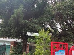 -晓港公园