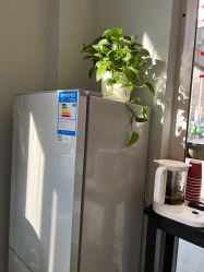 -摩睫+皮肤管理·科学美容中心