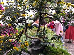 -杭州植物园