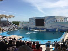 -北戴河圣蓝海洋公园