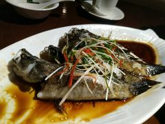 清蒸石头鱼-七仙岭君澜度假酒店·桃源小馆中餐厅