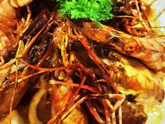 -森味薪火烧•烧鸟居酒屋•日本料理(望京店)