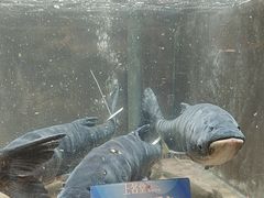 -上名堂·鱼头好吃(体育场路店)