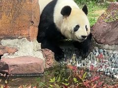 -苏州太湖国家湿地公园
