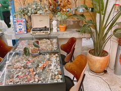 -PlantsEatery·植物食堂(REX春熙店)