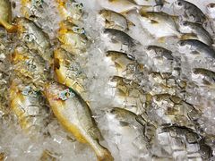 -AEON永旺(东方宝泰店)