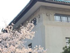-武汉大学-樱园