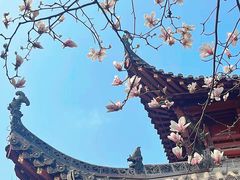 -长春观