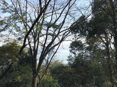 -西湖风景区十里琅珰-五云山