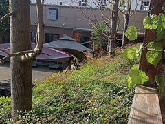 -杨肥肠小火锅(新桥店)
