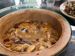 -马帮菜馆·美味野生菌