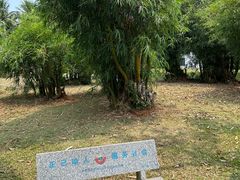-万绿园