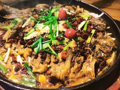 -老板恋上鱼(环山路店)