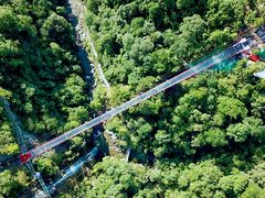 -九龙江国家森林公园