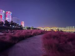 -徐记海鲜(观沙岭|滨江新城店)