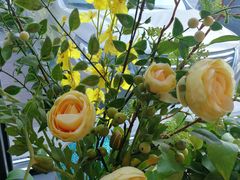 -LYFATTI 莱芙缇(赣水路店)