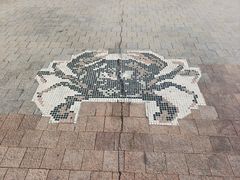 -日照世帆赛基地