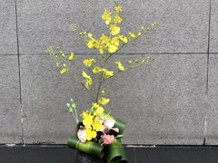 -花到家(富贵鸟花艺行)