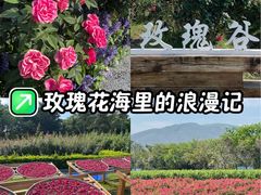 -亚龙湾国际玫瑰谷