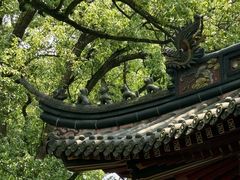 -普陀山风景名胜区-法雨禅寺