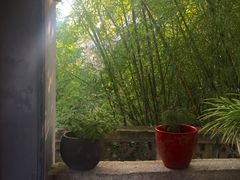 -鼓浪屿钢琴博物馆