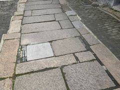 -状元楼(金溪路店)
