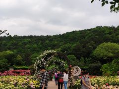 -龙寺生态园