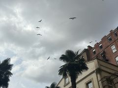 -加拉达石塔