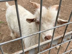 -北京山里寒舍度假酒店