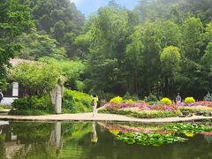 -庐山风景区花径公园