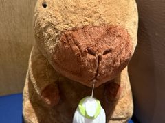 -玛尚诺意式餐厅(长宁来福士店)