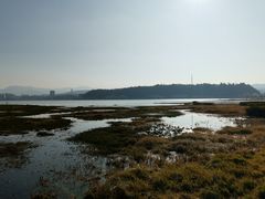 -洱海月湿地公园