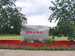 -御林古桑园
