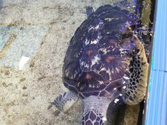 -鸿通城购物中心