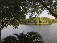 -渭塘酒家(生态园店)