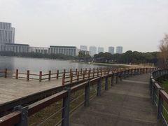-尚贤河湿地